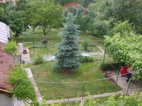 Prodaja, kuća, 64m², Sremska Kamenica, Petrovaradin - image 10