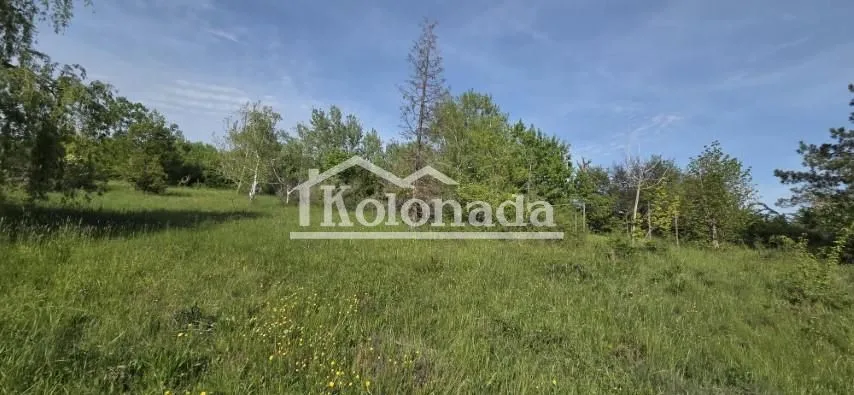 Sale, land lot, 9400m², Nemenikuće, Sopot