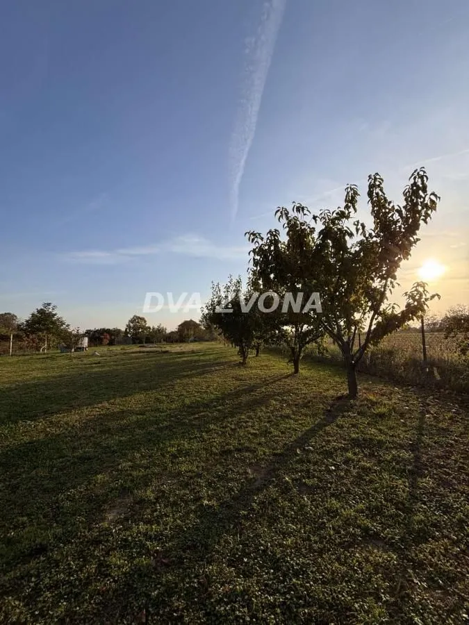 Prodaja, kuća, 70m², Čortanovci, Inđija