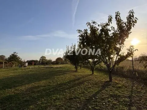 Prodaja, kuća, 70m², Čortanovci, Inđija - image 2