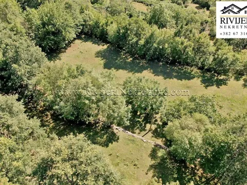 Prodaja, plac, 34000m², Mokrine, Herceg Novi - image 5