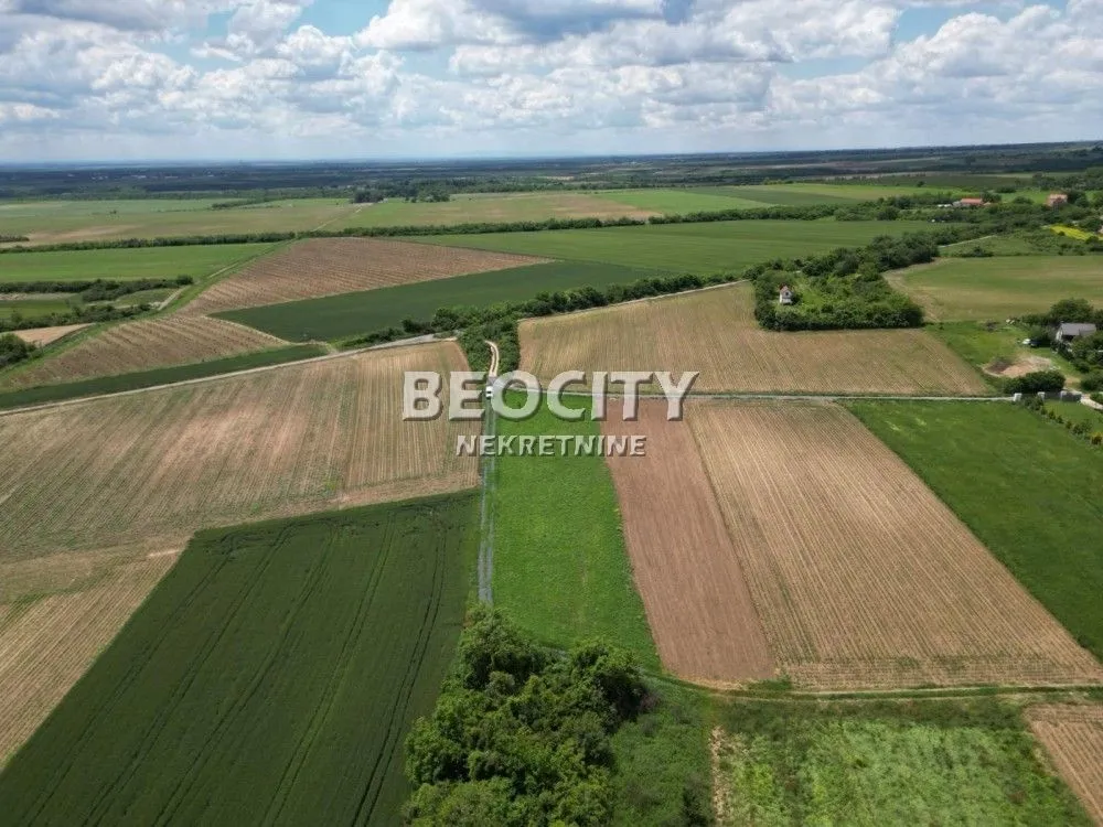 Sale, land lot, 10m², Čortanovci, Inđija