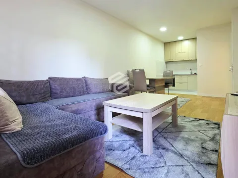 Rent, one bedroom apartment, 48m², Central Point, Podgorica - image 3