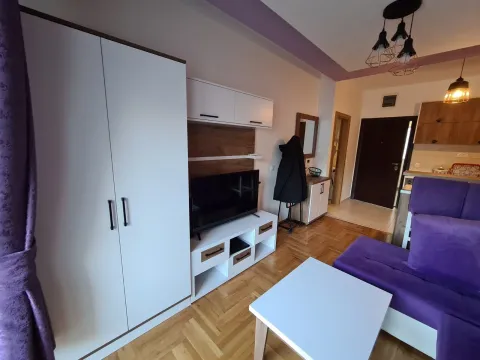 Living room with sofa, TV unit and built-in wardrobe. - image 9