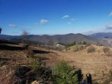 Sale, land lot, 4390m², Tara, Srbija - image 6