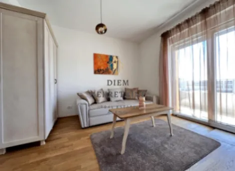 Rent, studio apartment, 33m², City Kvart, Podgorica - image 3