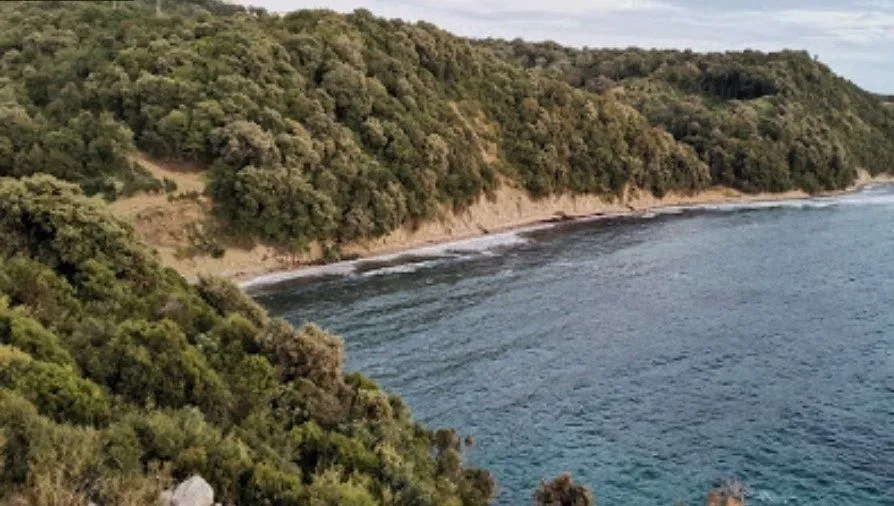 Sale, land lot, 450m², Dobra Voda, Budva