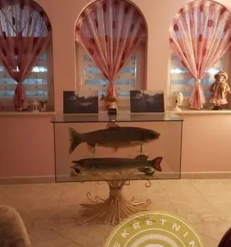 Sale, house, 420m², Kać, Novi Sad Sve Podlokacije - image 14