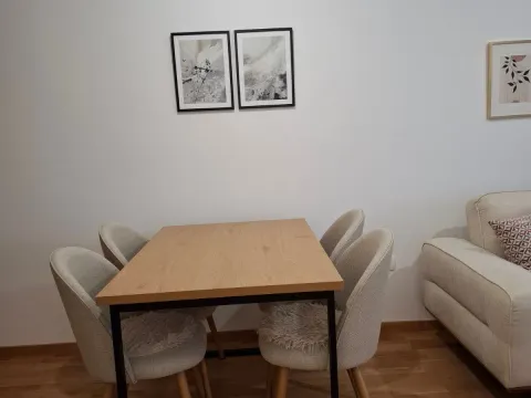 Izdavanje, jednosoban stan, 47m², Pobrežje, Podgorica - image 7
