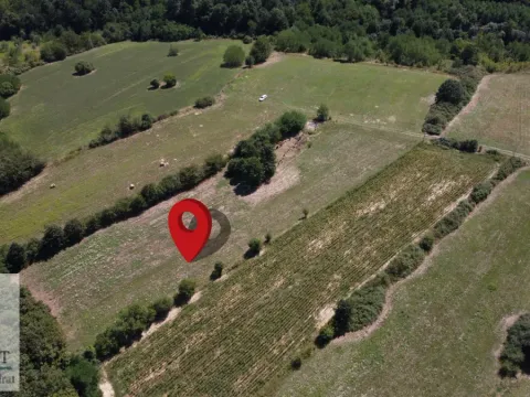 Sale, land lot, 5000m², Trlić, Ub - image 10