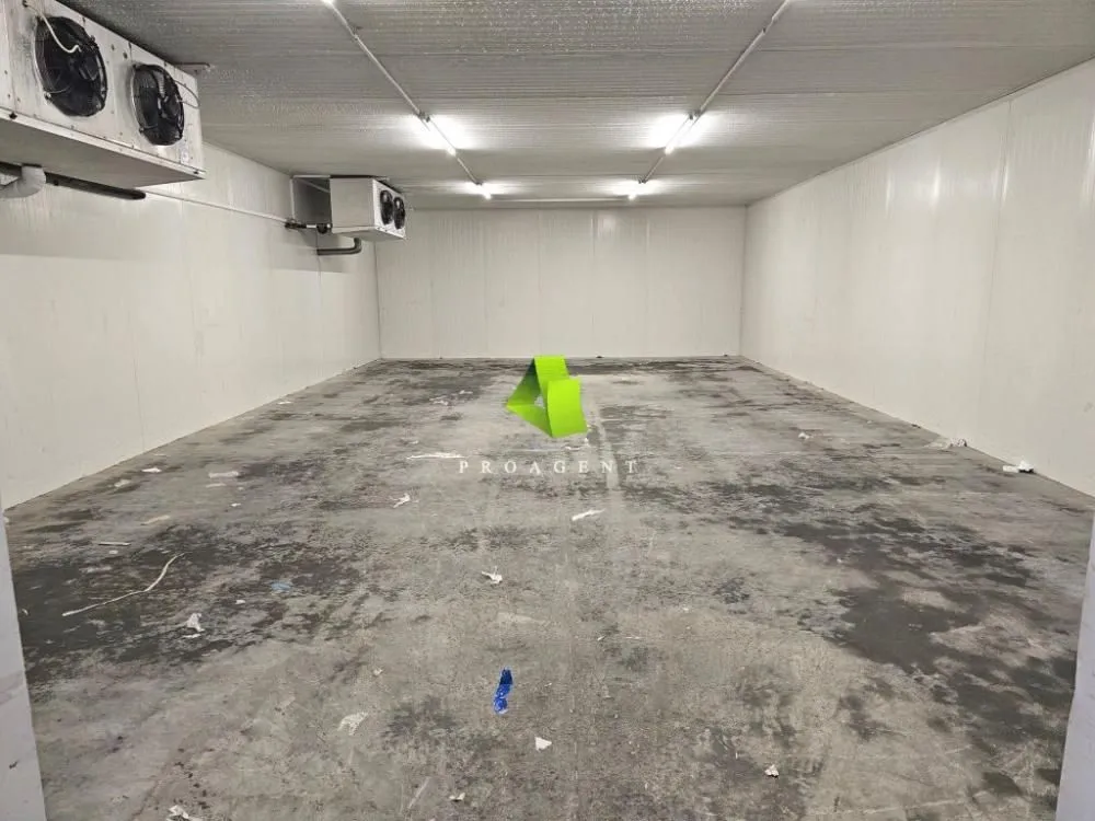 Izdavanje, poslovni prostor, 344m², Palilula, Niš