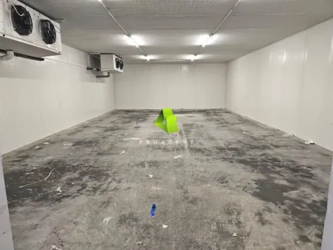 Izdavanje, poslovni prostor, 344m², Palilula, Niš