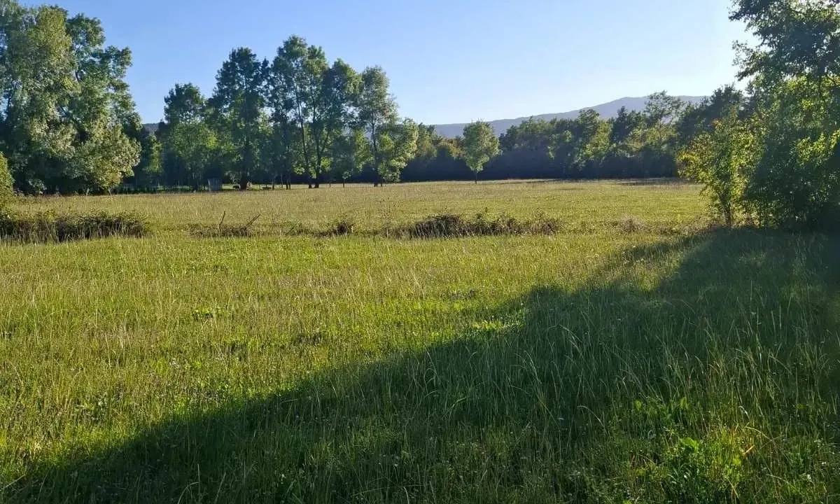 Sale, land lot, 2881m², Begovina, Danilovgrad