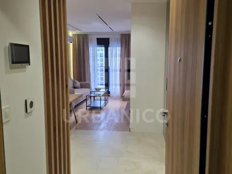 Rent, one bedroom apartment, 45m², Tološka šuma, Podgorica - image 11