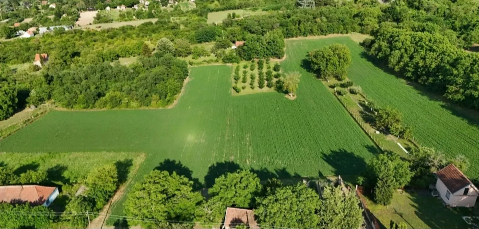 Prodaja, plac, 77000m², Krčedin, Inđija