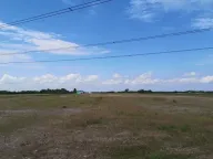 Prodaja, plac, 23000m², Šimanovci, Pećinci - image 1