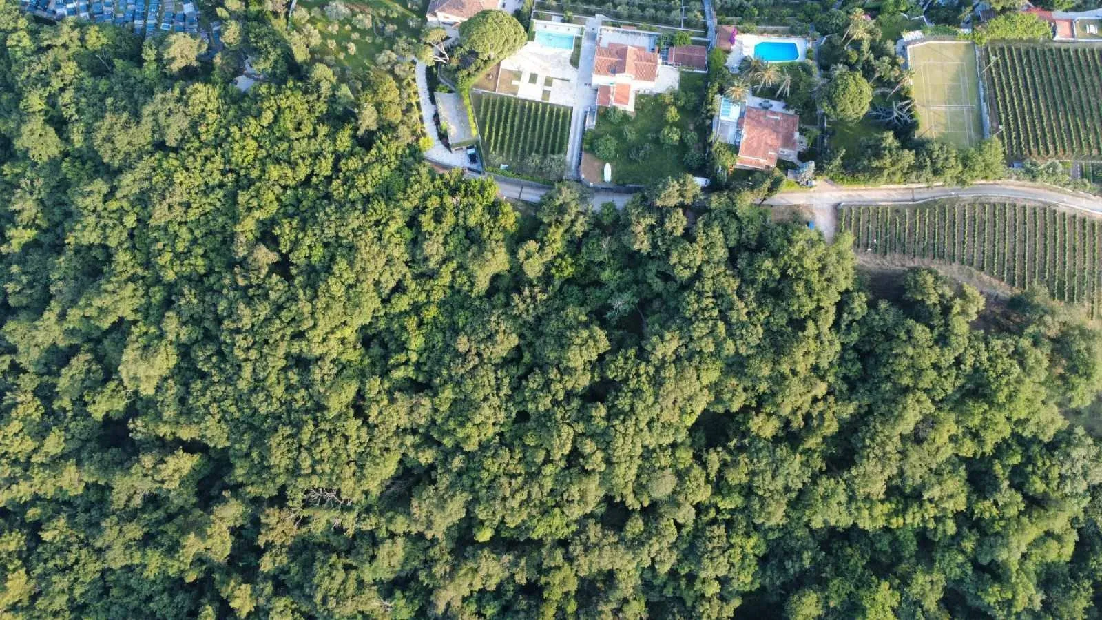 Prodaja, plac, 3728m², Herceg Novi, Crna Gora