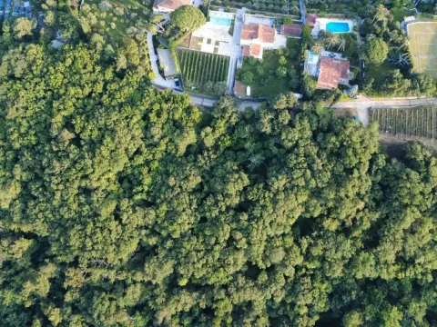 Prodaja, plac, 3728m², Herceg Novi, Crna Gora - image 7