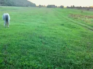 Sale, land lot, 218000m², Nikšić, Crna Gora - image 6