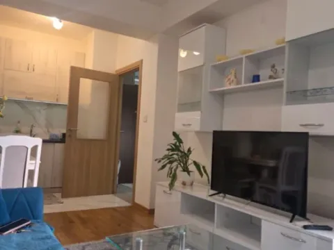 Izdavanje, jednosoban stan, 34m², Zabjelo, Podgorica - image 4