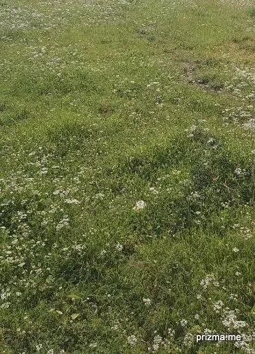 Prodaja, plac, 3277m², Ostalo, Podgorica