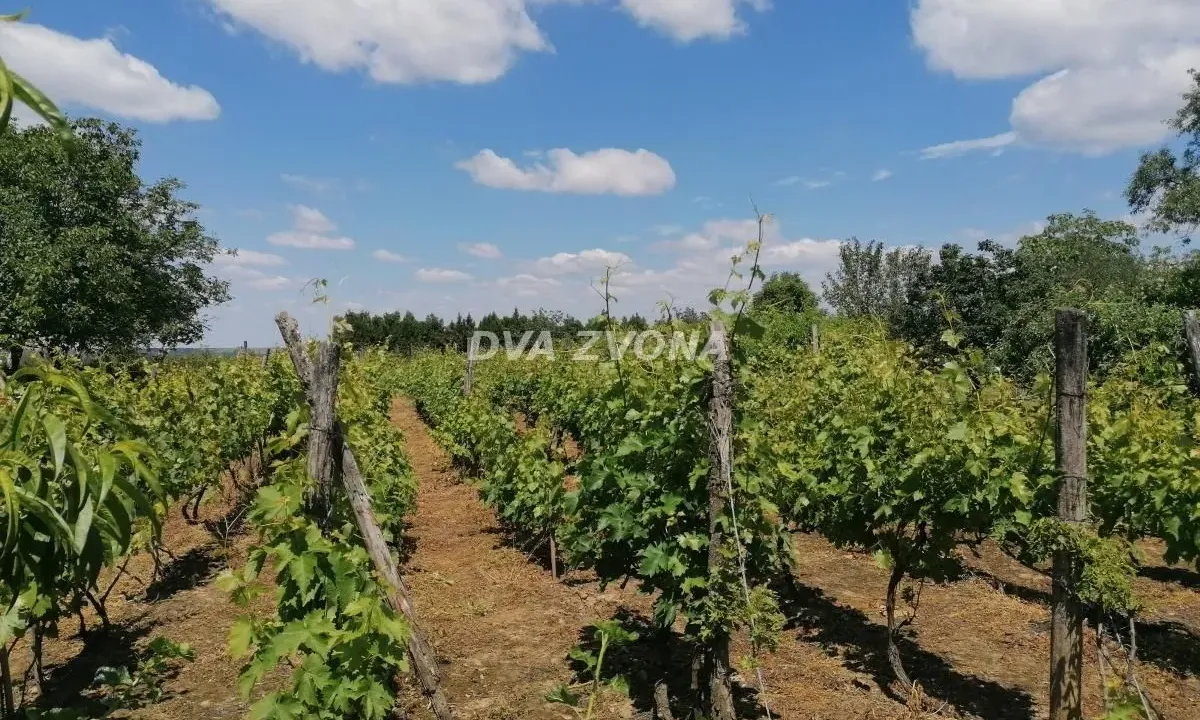 Prodaja, kuća, 26m², Novi Slankamen, Inđija