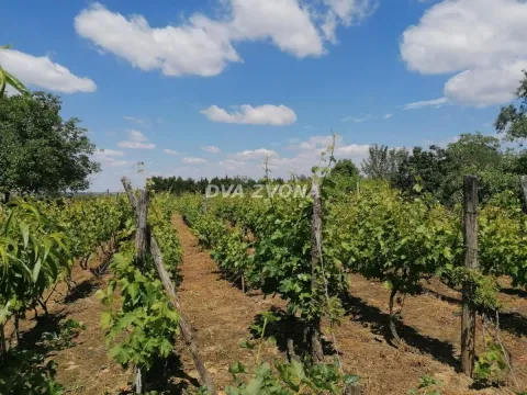 Prodaja, kuća, 26m², Novi Slankamen, Inđija