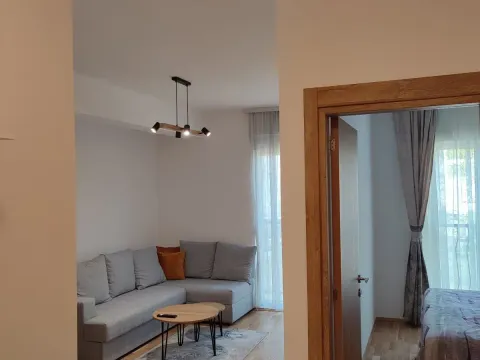 Izdavanje, jednosoban stan, 36m², Stari Aerodrom, Podgorica - image 8