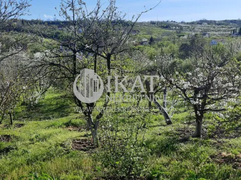 Prodaja, kuća, 240m², Grocka, Beograd - image 4