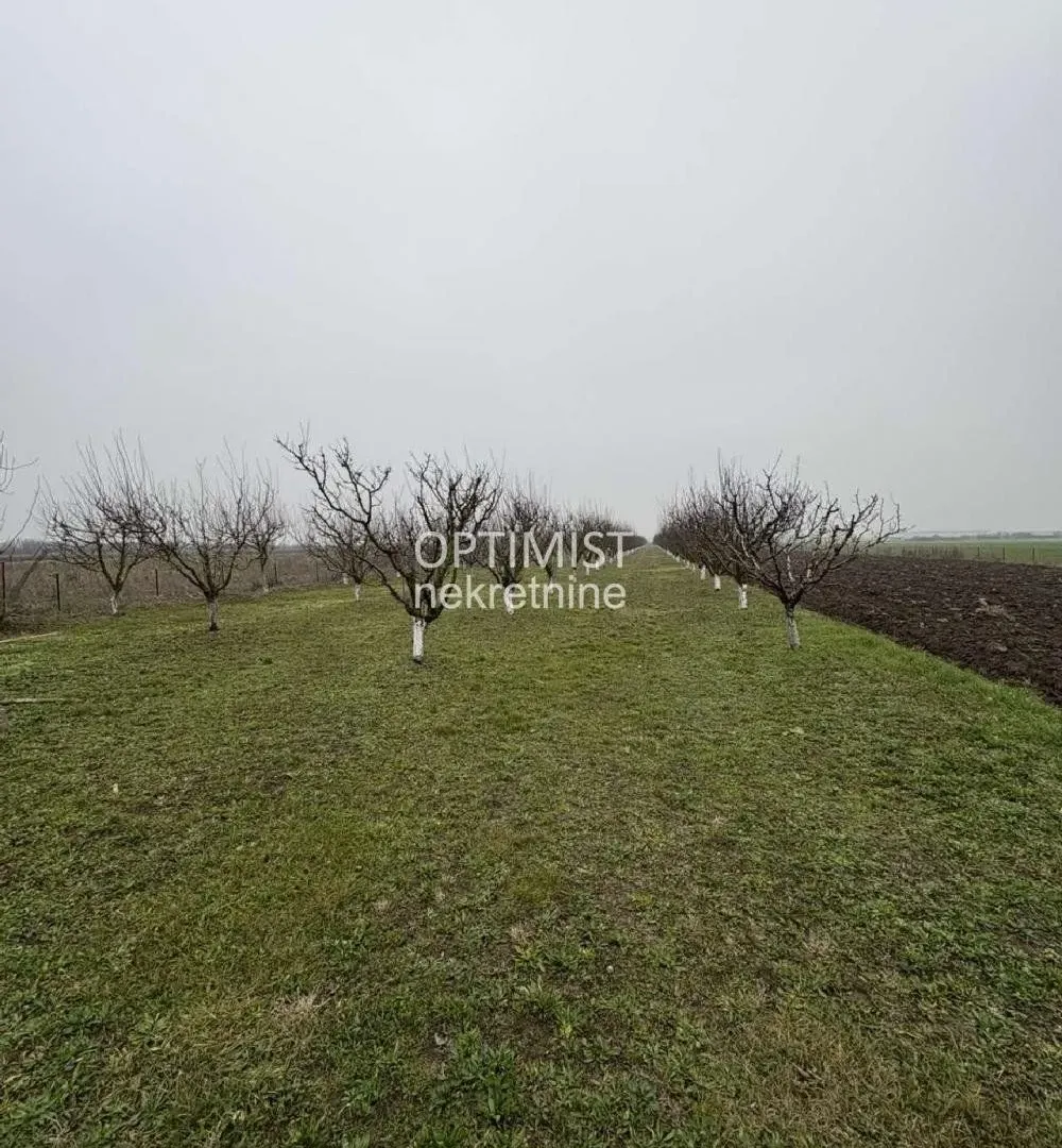 Prodaja, plac, 11000m², Zemun Ugrinovci, Zemun Sve Podlokacije