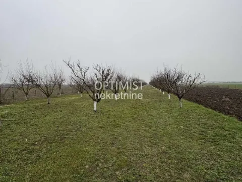 Sale, land lot, 11000m², Zemun Ugrinovci, Zemun Sve Podlokacije - image 10