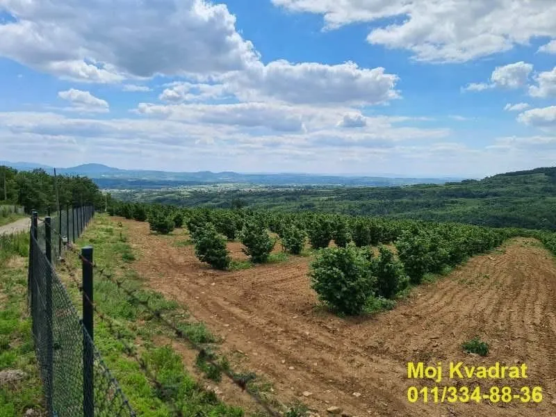 Prodaja, plac, 900m², Koraćica, Mladenovac