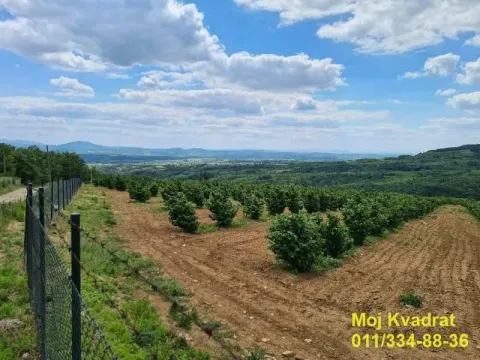 Prodaja, plac, 900m², Koraćica, Mladenovac - image 3