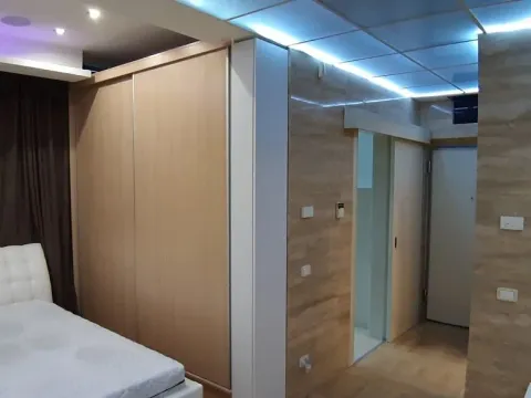 Izdavanje, jednosoban stan, 48m², Dedinje Sve Podlokacije, Beograd - image 3