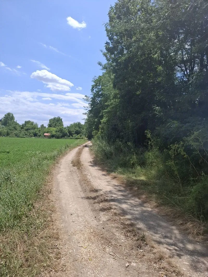 Prodaja, plac, 14200m², Irig, Srbija