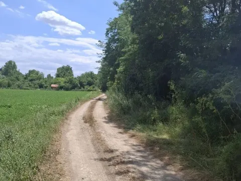 Prodaja, plac, 14200m², Irig, Srbija - image 6