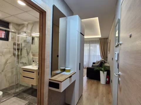 Daily-rent, one bedroom apartment, 34m², Centar, Vrnjačka Banja - image 8