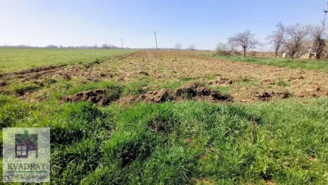 Zemljište in Obrenovac