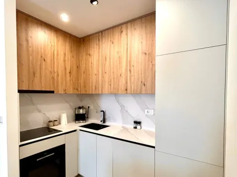 Izdavanje, jednosoban stan, 47m², New City, Podgorica - image 4