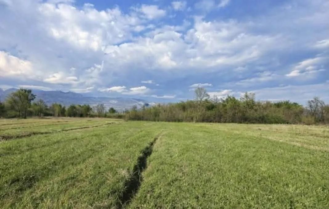 Sale, land lot, 5554m², Jastreb, Danilovgrad