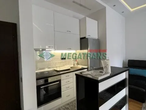 Rent, two bedroom apartment, 45m², Bulevar Evrope, Novi Sad Sve Podlokacije - image 5