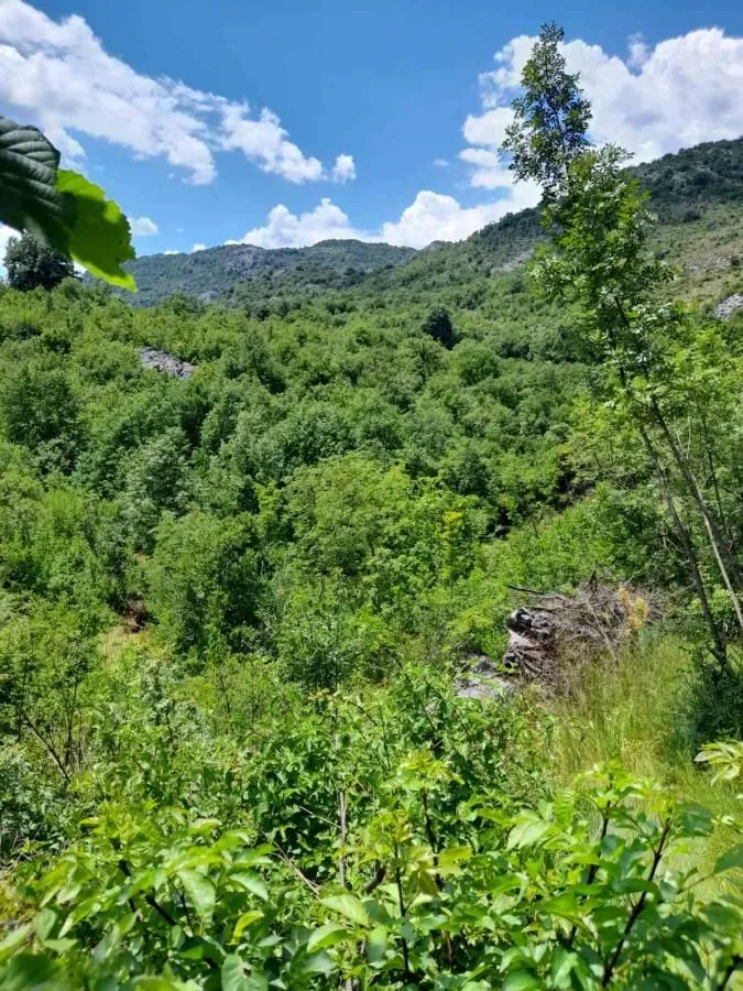 Prodaja, plac, 240000m², Štitari, Cetinje