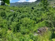 Sale, land lot, 240000m², Štitari, Cetinje - image 16