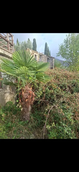 Sale, house, 76m², Stari Bar, Bar