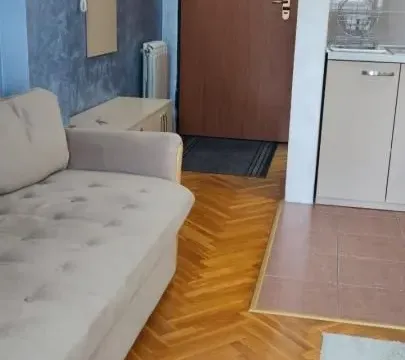 Izdavanje, garsonjera, 31m², Bulevar Oslobodjenja, Novi Sad Sve Podlokacije - image 2