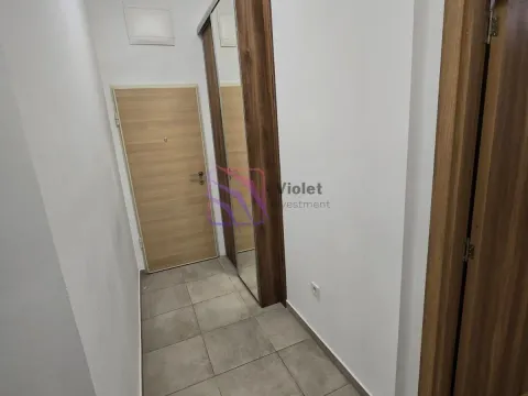 Rent, one bedroom apartment, 54m², Zabjelo, Podgorica - image 8