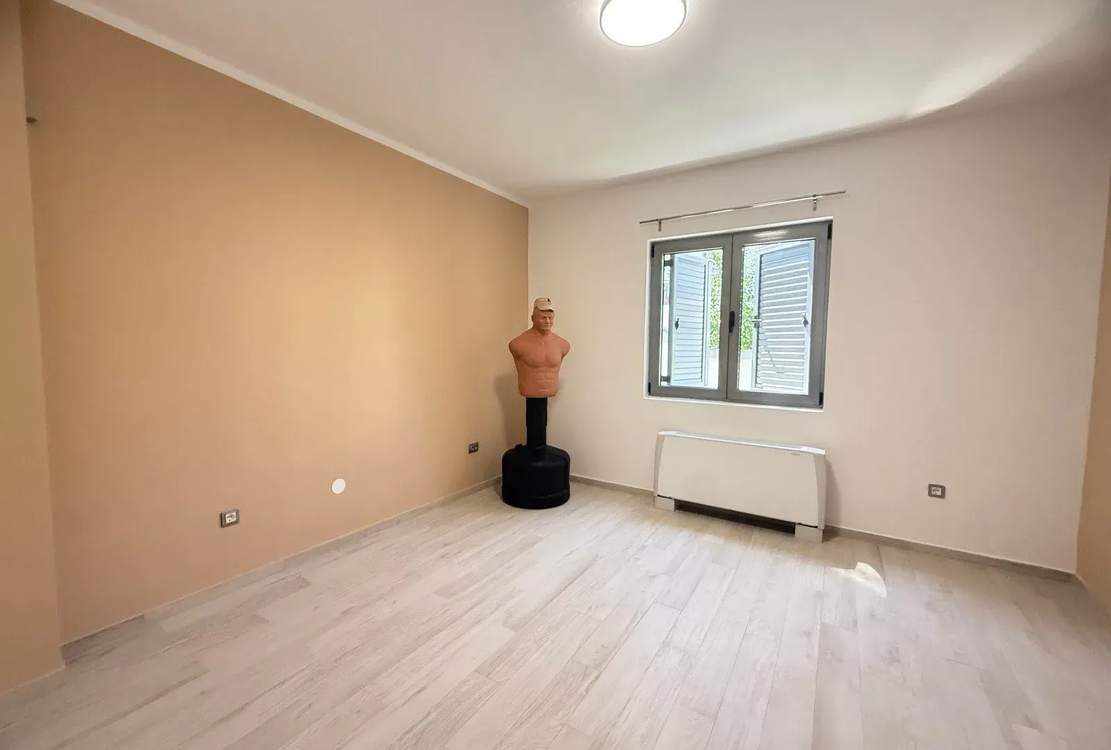 Rent, house, 320m², Podgorica, Crna Gora