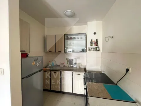 Izdavanje, jednosoban stan, 42m², Stari Aerodrom, Podgorica - image 5