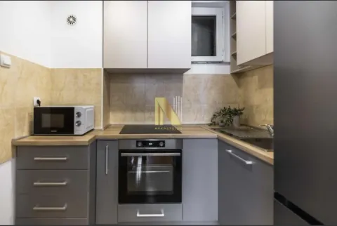 Izdavanje, dvosoban stan, 52m², Centar, Novi Sad - image 3