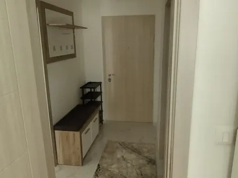 Rent, one bedroom apartment, 40m², Zabjelo, Podgorica - image 4
